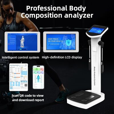 SH-10F Professional Full Body 270 Body Composition Analyzer Scanner Nutritionist Machine