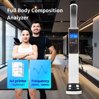 Newest Body Fat Analyzer Composite And Muscle Analyzer With Bioimpedance Machine With Printer
