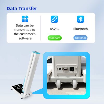 Health Height Weight Measurement BMI Electronic Weighing Scale with Printer