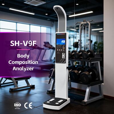 Centro di fitness utilizzo Analisi della composizione corporea Fat Scanner per BMI grasso corporeo e muscoli Scansione Body Analyzer OEM Body Analyzer