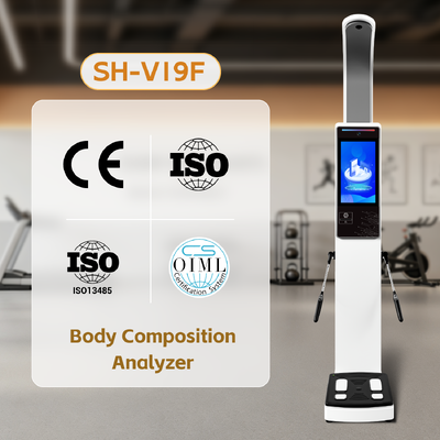 Strumento intelligente di misura del corpo BMI Scala umana SH-V19F Analisatore di composizione corporea